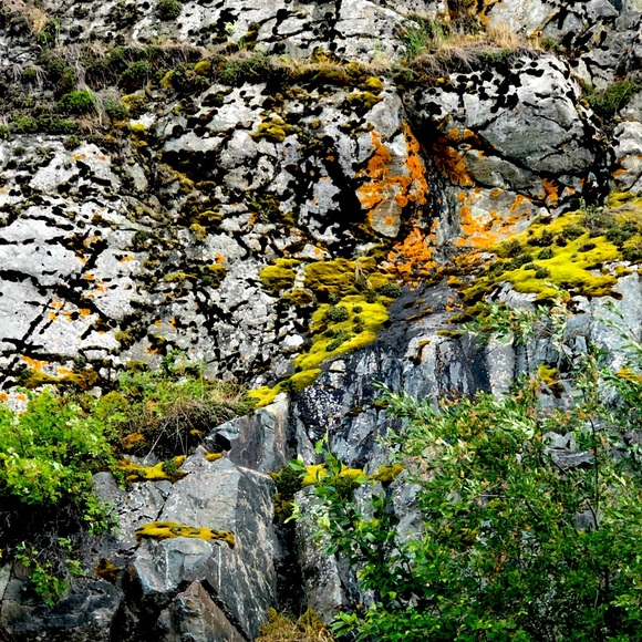 Meet your Posher, Cher - Picture 1 of 1